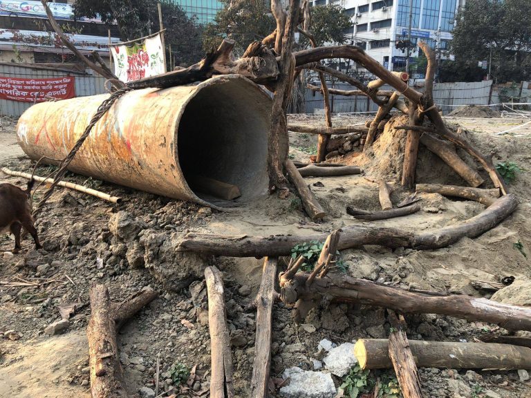 480239790_10236792586818583_5231218399607502187_n