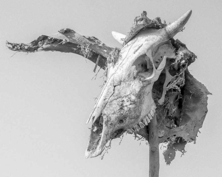 Muhmmad_Salah_Abdulaziz_BTN_48