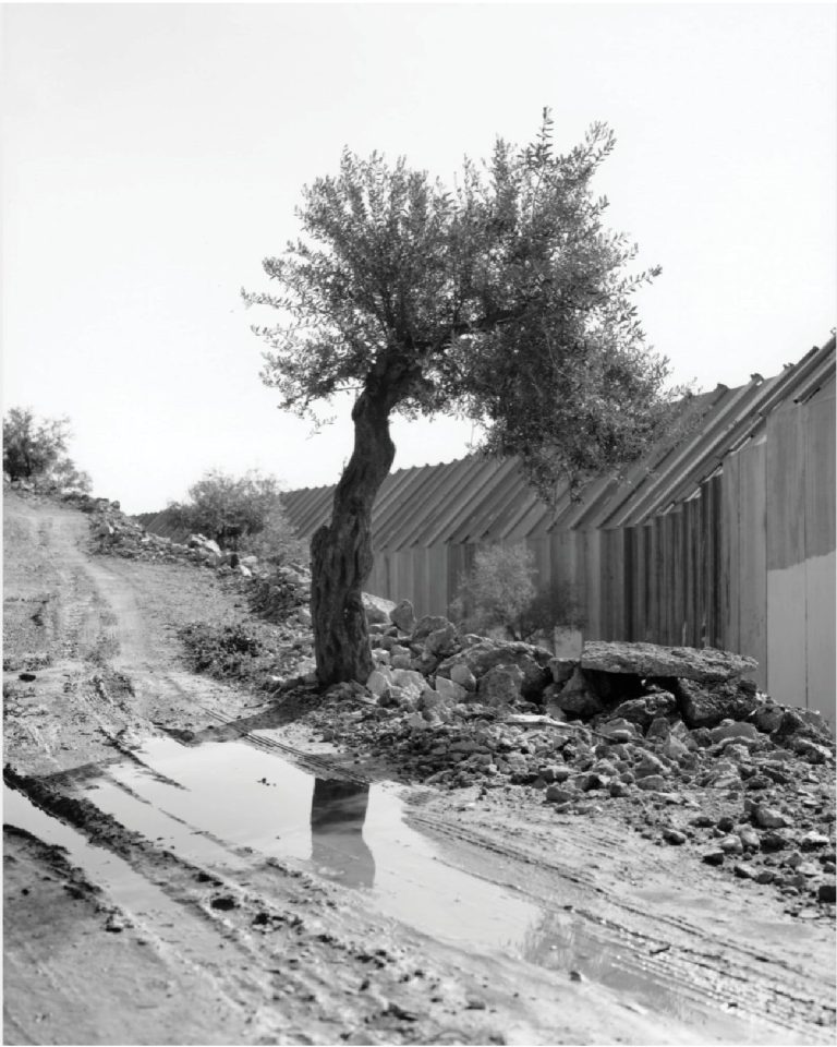 WhatsApp Image 2025-10-19 at 22.36.30