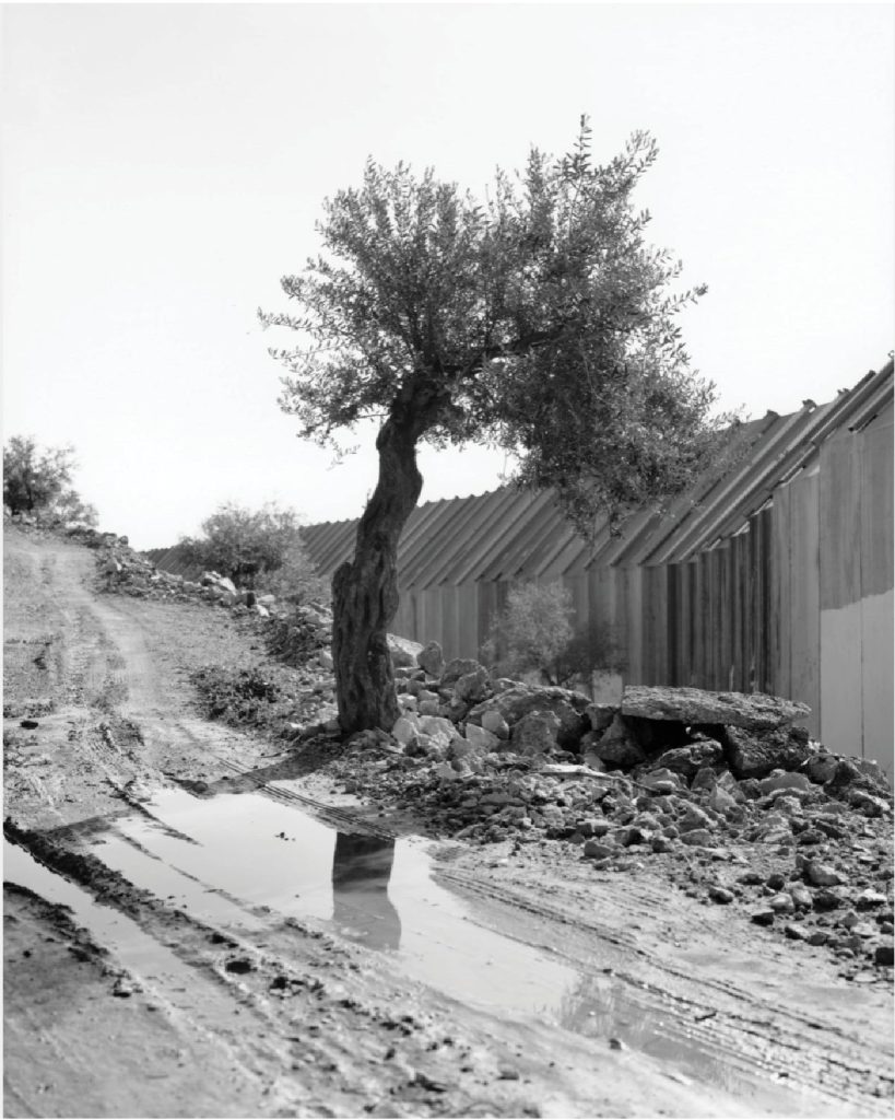 WhatsApp Image 2025-10-19 at 22.36.30