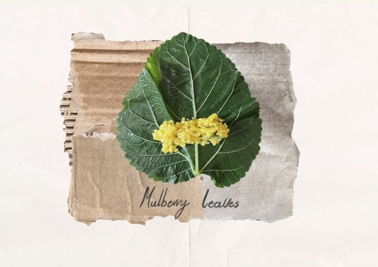 e1.44bc5da65048b8606a52